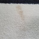 양재세탁 이미지