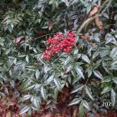 봉황세차장 이미지