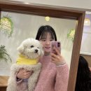 모&모어 | 부천 중동 애견동반카페 로어앤모어 방문후기