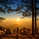 치유의 숲 야영장 이미지