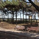 명지새마을회관 이미지