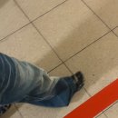 태산동물병원 | 우리 신랑/신부가 달라요