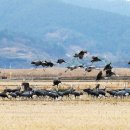 순천만그리고나 이미지