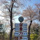 삼풍베이커리 이미지