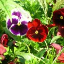 잠원강변 이미지