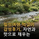 힐링여행 먹걸이 감성후기, 자연과 맛으로 채우는 여유로운 순간