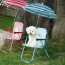 댕댕이 유치원 이미지