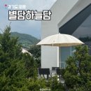 [양평] 별담하늘담 양평 프라이빗 감성숙소 펜션 수영장 바베큐 내돈내산 솔직후기