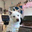 카페더메이커스 이미지