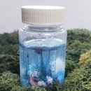 실험정원