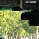 스테이 띠앗 이미지