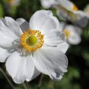 길부동산중개사무소 이미지