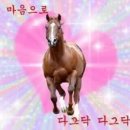 기붐 Daum카페