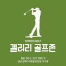 갤러리스크린골프존