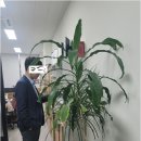 미택스세무회계 네이버블로그