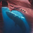 사진과포토샵 이미지