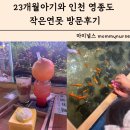 연못이 있는 집 | 인천아이와가볼만한곳 23개월아기와 영종도 작은연못 방문후기