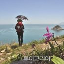 청산도 이미지