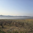 지리산쌍계한의원 네이버블로그