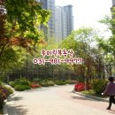 한가람부동산공인중개사사무소 이미지