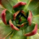 창전농장 이미지