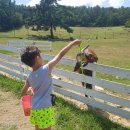 동현목장 이미지