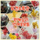 시각장애인연합회 진안군지회 | 취득 과정 군산 익산 전주 김제 정읍 순창 고창 부안 무주 진안 장수 남원 완주 임실 원예심리 지도사