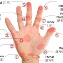 폴드 7 2달 사용 후기 이미지