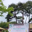 생활원예(반려식물) | 반려 식물 한마당 충남생활원예경진대회 반려식물심기 도시농업전문가