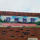 12월 16일(목)제387차 부산시 금정산 고당봉(801.5m) 송년산행 이미지