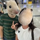 뭉게뭉게 마곡점 | [14. 항공사 직장인 일상] 내 9~11월이 벌써 없어졌어.. 12월 되기 10분 전이햐...