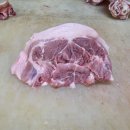 가야식품