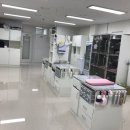 쪼꼬동물메디컬센터 이미지