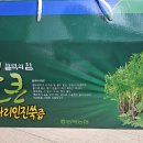 화순 특산품 불큰 불미나리 인진쑥즙 후기(ft. 가격과 효능, 성분 정리)