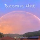 (주)잼잼 이미지