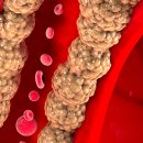 안종훈내과의원 이미지