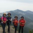 부안남초등학교 이미지