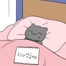 영철이네 이미지