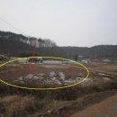 안면초등학교 이미지