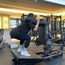 랩 지피티짐 이미지