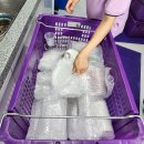 안양포장이사 이사업체 찾고 계신다면!