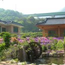 광치황토펜션 이미지