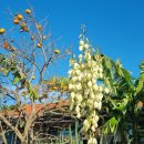 소박한 민박 이미지