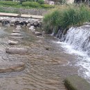 들꽃가람 이미지