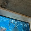 메종드유유 이미지