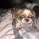 포커스온 복싱 | 2025년을 마무리하는 30가지 회고 질문에 답하기!