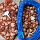 간현3리경로당 이미지