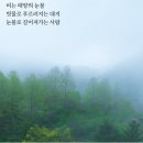 7월13일...7월 두번째 월요일~오늘도 출석으로 인사 나눠요~~🌸💕 이미지