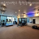 머슬 인 이미지