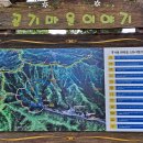 상관편백숲 공영주차장 이미지